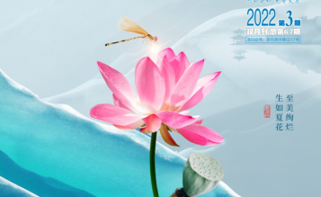 轉發浙江省招標投標協會_協會內資 總第67期_2022年第3期《浙江招標投標》