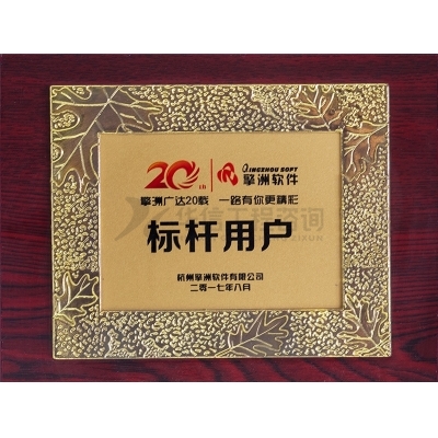 擎洲軟件標桿用戶